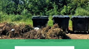 Новые правила обращения с ТКО: запрет на выброс веток и растительных отходов на контейнерные площадки