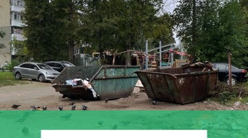 Кто отвечает за чистоту у мусорных контейнеров: разбираемся в зонах ответственности