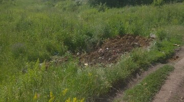 В Орловской области за четыре года мусорной реформы от стихийных свалок освободили участки размером в 95 футбольных поля